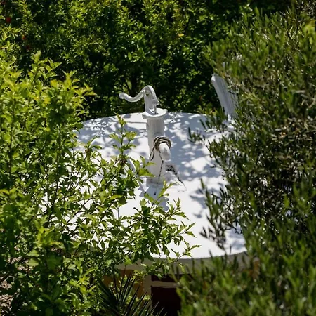 Marjetka & Tina In Rab - Kvarner Region Gæstehus